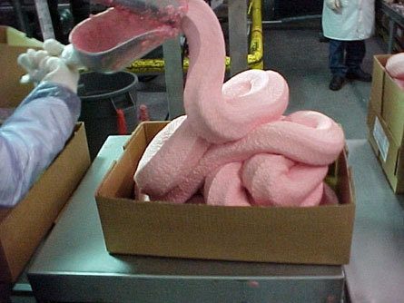 Chicken Nuggets